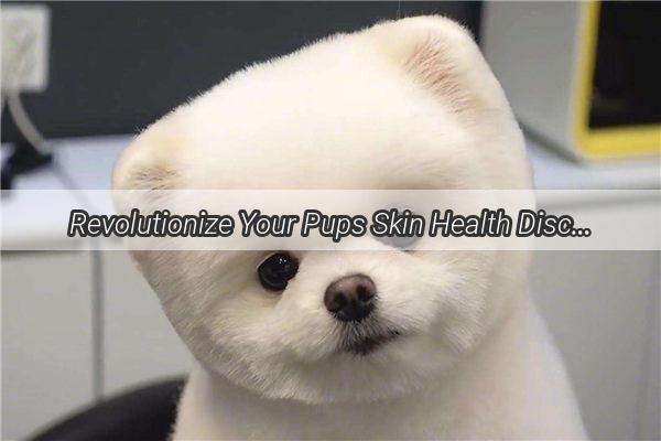 Revolutionize Your Pups Skin Health Discover the Ultimate Pet Moisturizer